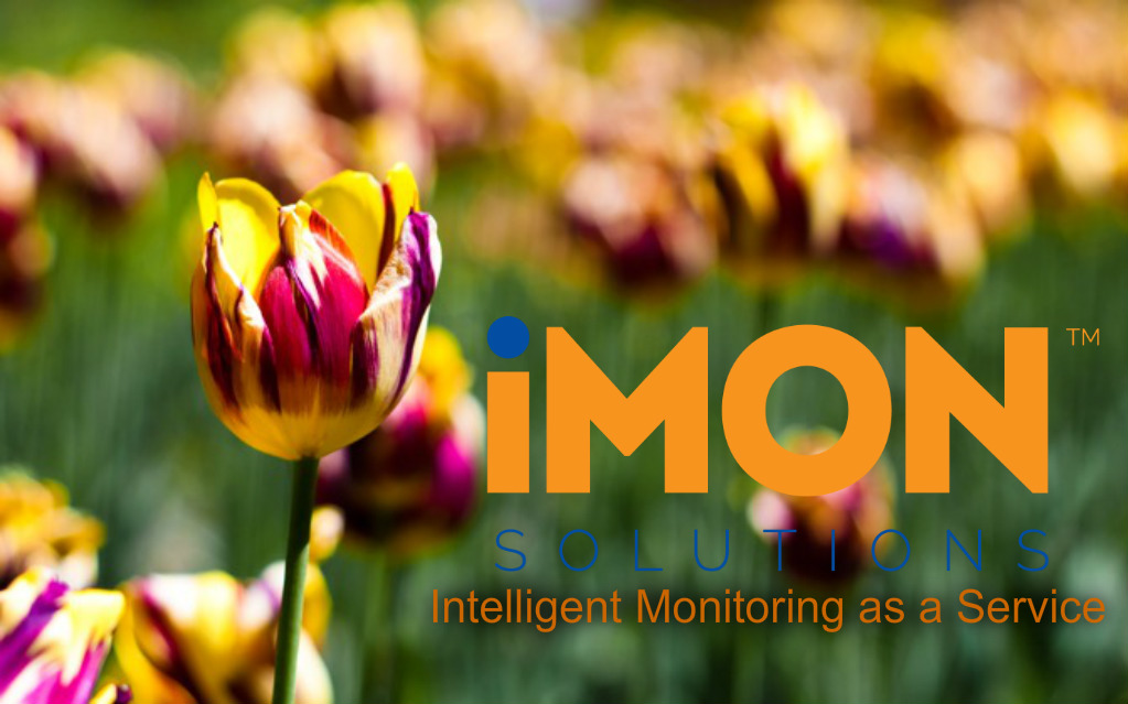 Intelligent monitoring